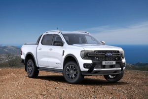Wildtrack-Blanca
